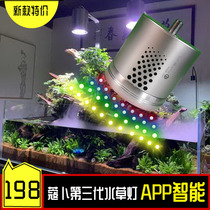 KOB Smart APP Magic lamp Grass cylinder lamp Green moss lamp Water plant lamp timing full spectrum LED bracket lens spotlight
