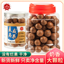 New cream Hawaiian nuts original dried fruit pregnant women snacks fried goods large particles net content 500g