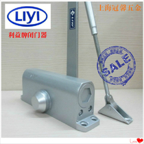 liyi interest brand door closer LY4D1800 fire door hydraulic buffer 80-105kg Factory Direct