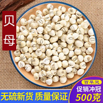 Fritillaria 500g Sichuan farmhouse self-produced Sichuan Fritillaria Chinese herbal medicine non-wild sulfur-free Chuanbei can be powdered