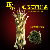Dongfu Dendrobium candidum fresh strips Yueqing fresh maple strip Stone unpacked fresh strip 500g boxed wind bucket fresh strip stone bucket