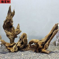 Micro-landscape small tree root material build-out wood withered wood stock branches Pineapples Bracket Rainforest Amphibious plant Basins Diy Plant Basin
