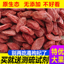 21 new non-sulfur wolfberry authentic Ningxia super wild non-wash large red grain red body male kidney tea 500g soaked in water
