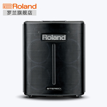 Roland Roland BA-330 multifunctional stereo speaker guitar vocal portable speaker