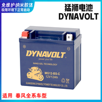 DYNAVOLT Lion Colloid Battery Spring Breeze 400NK650 Motorcycle 150NK250 State Guest 12v Battery Free