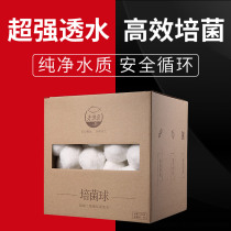 Old fisherman fish tank bacillea Aqua high efficiency water purification hair ball biochemical ball fish tank bacteria