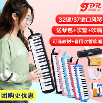 Guardian organ 37 key primary school students with professional playing wind instruments beginner children adult men and women