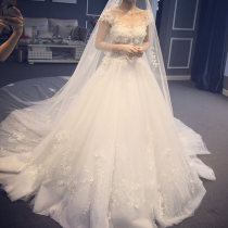 French light main wedding dress 2021 New temperament bride small simple starry sky court tail out gauze winter