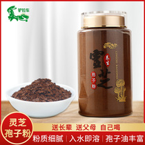 Ganoderma Lucidum Spore Powder 500g Changbaishan Organic Spore Powder Ganoderma Lucidum powder Bulk Nyingchi Toudao Spore Powder