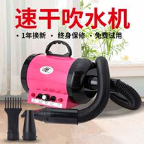 Pet hair dryer Cat high-power silent hair blowing artifact Large and small dog water blowing machine Dog special water blowing machine