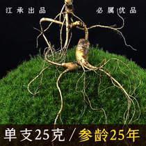 Ginseng Changbai Mountain Wild Ginseng First-class Ginseng 25 Years Forest Ginseng Mountain Ginseng Gift Box Northeast Ginseng Dry Spicy Wine Whole Branches