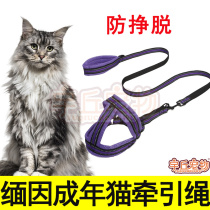Mese for cat-to-cat traction rope Private cat chain Comfort Cat Rope Vest Style Out of Anti-Escape Adjustable Slip Cat