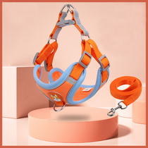 Dog chest strap walking dog leash pet cat small dog Bomei Bears Teddy vest collar dog rope
