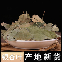 Chinese herbal medicine ginkgo biloba leaves without fumigation sulfur ginkgo leaves ginkgo flavonoids tea new 500g g