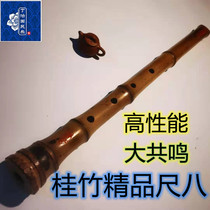 Ding Zhi Guo authentic five-hole Japanese-style ruler eight Guizhu boutique old craftsmanship entry-level artifact