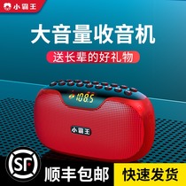 Radio elderly New portable small mini semiconductor radio rechargeable card multi-function listening play W20 Walkman player listening to songs with simple Bluetooth speaker