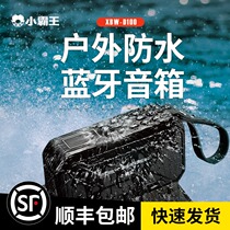 Wireless Bluetooth speaker Portable waterproof high volume subwoofer 3D surround Bully D100 stereo home outdoor portable small audio plug-in card U disk small mini radio audio