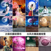 Photo studio Chinese costume shooting background antique theme photo Net red classical dance anchor live background cloth