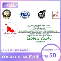Seven-year-old store official fidelity agency cat house certificate and cat certificate CFA WCF TICA pedigree certificate