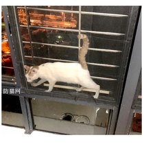 Sealing window anti-cat net-free screen window anti-cat jumping artifact pet escape custom push-pull curtain anti-mosquito self-loading