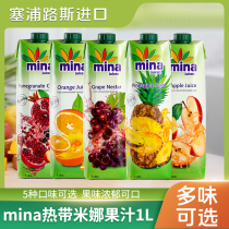 Cyprus imported mina tropical mina juice 1L*5 orange juice apple juice pomegranate juice pineapple juice grape juice