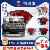Parrot accordion YINGWU120 bass 3 rows of springs 41 keys 827 light blue performance