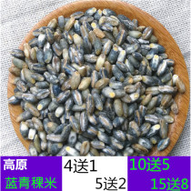 2021 pure blue sea highland barley rice Tibet highland barley wheat kernel highland barley rice grains vacuum coarse grain 500g