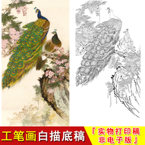 Meticulous painting line drawing draft-vertical flower and bird large-scale-peacock-physical printing line draft-special for copying A017
