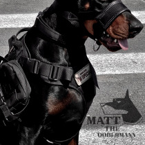 (Dubin Matt) same dog tactical vest dog clothes large dog outdoor chest strap traction vest