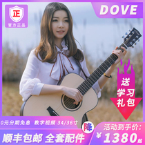 dove Dove folk single board guitar 36 inch dtb260 250 beginner travel 34 inch folk student electric box piano