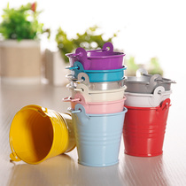Tin flower arrangement device Small flower bucket Toy bucket Painted bucket Wild mini candy color small iron bucket