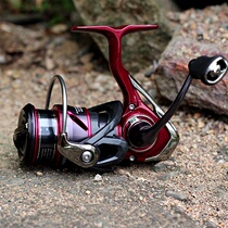 Da Yiwa FUEGO LT red mark magnetic oil Anti-seawater oblique mouth shallow line Cup Luya far cast spinning wheel fishing wheel