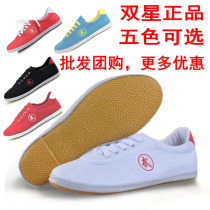 Double Star Wushu Competition Shoes Men's and Women's Sports Children's Canvas Training Shoes