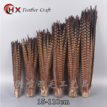 Natural Pheasant Hairy Ground Chicken Fur Teasing Cat Feather Stick Mountain Chicken Feather Beijing Opera Ling Hills Chicken Tail 25-110 cm