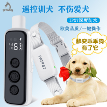 Prevention of dogs called a stop bark guard anti-nuisance god instrumental dogs Electroshock Items Ring Neck Ring Small And Medium Dog Training Dog Instrumental Remote Control