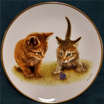 British Wedgwood Wedgwood playful kitten limited edition collection plate (diameter 23cm)