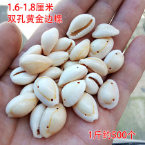 Natural conch shell double hole gold edge snail gold ring treasure snail small shell DIY handmade jewelry accessories