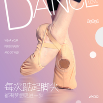 Elastic cloth dance shoes womens soft bottom art test body practice shoes non-slip adult cat claw shoes show instep ballet shoes