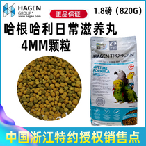 Large Parrot Bird Foods in Hagen Sunflower Flowers Grey Parrot Grain feed Bird food Nourishing Pill Feed Bird Food