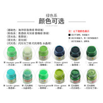Six color brand hand painted paint does not fade waterproof textile pigment DIY pigment green-30ML