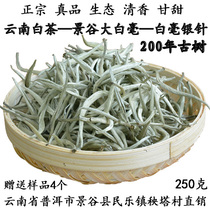 Jinggu Big Bud Yunnan white tea Puer 2021 Ming front spring bud head Moonlight White Silver Needle