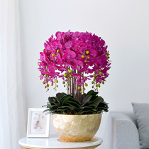 Oversized Phalaenopsis simulation flower set bonsai living room decoration dining table
