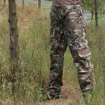 Outdoor bird watching fishing hunting cotton wear-resistant multi-bag overalls photography hunting shrubs bionic camouflage long pants