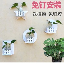 Green rose hanging wall wall flower rack hydroponic plants wall decoration bedroom living room glass flowerpot vase