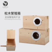 Parrot breeding box bird breeding nest pine wooden bird nest tiger skin peony small sun Xuanfeng breeding incubator box
