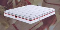Mousse Group V6 Home MFB1-057 Thanksgiving Mattress