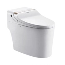 Anhua Sanitary Ware Smart Toilet AB13017
