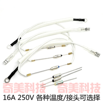 Hanging ironing machine rice cooker TF metal temperature fuse tube RY overheating fuse protector 250V 16A