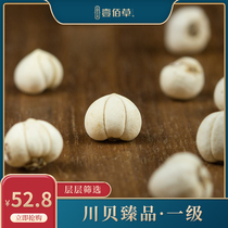 Sulfur-free pure wild Sichuan scallop mother Songbei Grade 1 Sichuan Abazhou can be used to grind Sichuan scallop powder fritillary