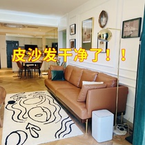 Japanese leather sofa care oil leather car interior seat cleaner decontamination maintenance refurbishment coating